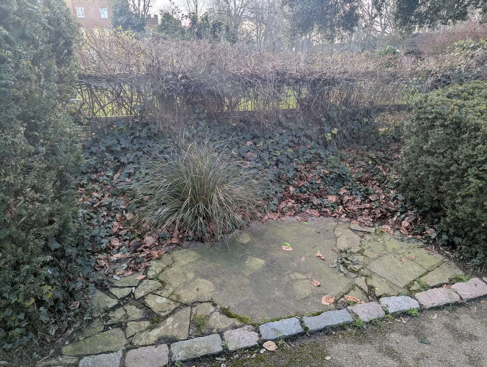 A gap between bushes where a bench once stood, now just a moss-covered concrete base and a small bush grows out of the old screws, which I joke covers the scene of the crime.